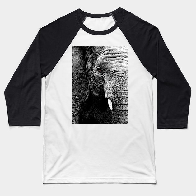 Elephant Baseball T-Shirt by adrianbrockwell